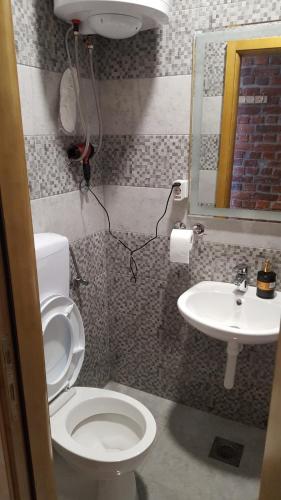 a bathroom with a toilet and a sink at Apartmani Bonaca u Centru Nikšića in Nikšić