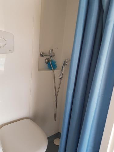 a shower in a bathroom with a toilet and a blue curtain at Suite cocooning - Route des Vins in Bergbieten