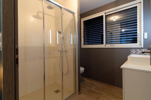 a bathroom with a shower and a toilet and a window at La birette in Vignoux-sur-Barangeon