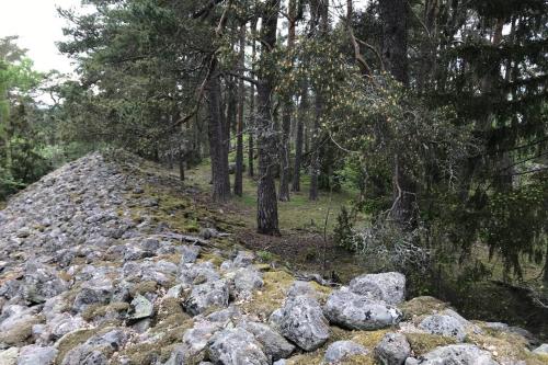 a pile of rocks and trees on a trail at Cabin in the woods, close to Lake Mälaren in Eskilstuna