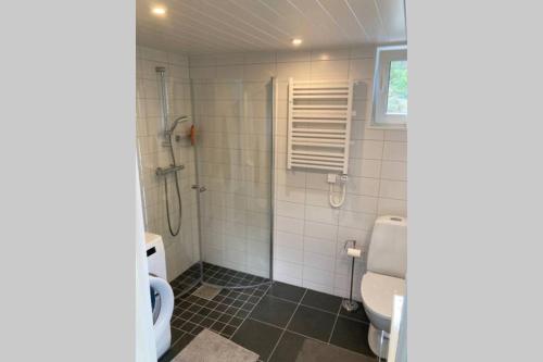 a bathroom with a toilet and a shower and a sink at Cabin in the woods, close to Lake Mälaren in Eskilstuna