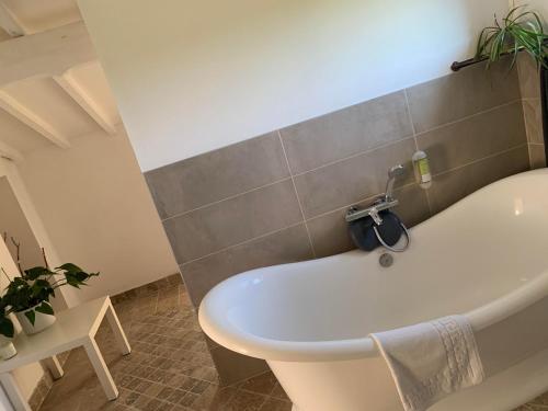 ein Badezimmer mit einer weißen Badewanne mit Pflanze in der Unterkunft La Bergerie des Amandiers Chambres et Table d'Hôtes in Malataverne