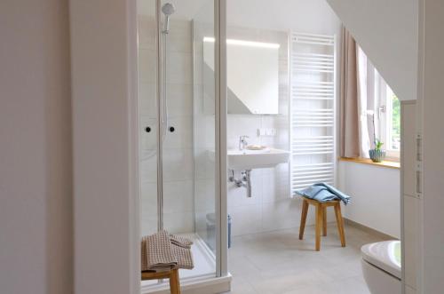 ein Bad mit einer Dusche und einem Waschbecken in der Unterkunft Ferienwohnung Mohnblume in Pülzig