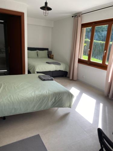 Savatan的住宿－Joli Studio près des Bains de Lavey，一间卧室设有两张床和窗户。