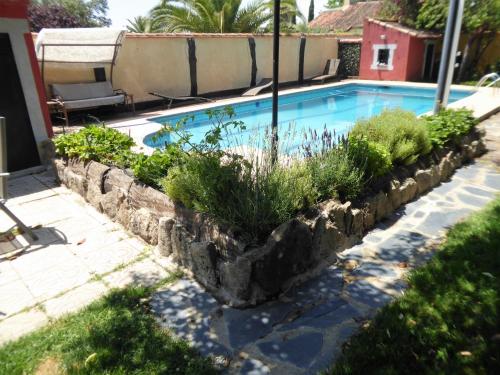 a swimming pool with plants in a stone retaining wall at EL RINCON DE LOS PATOS 1 in Serranillos Playa