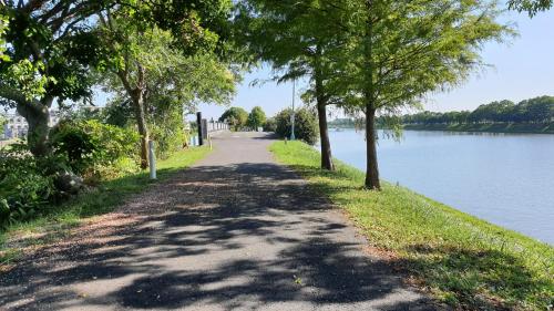 a tree lined path next to a lake at Dongshan River Left Bank in Wujie