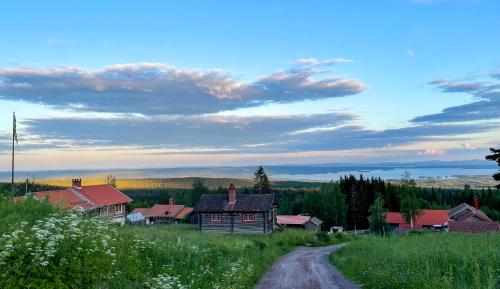 un camino de tierra en frente de un pueblo con una casa en Fryksas Chalet en Fryksås