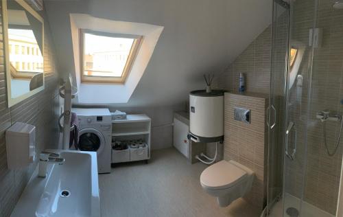 a bathroom with a toilet and a washer and dryer at Kanto studija in Klaipėda