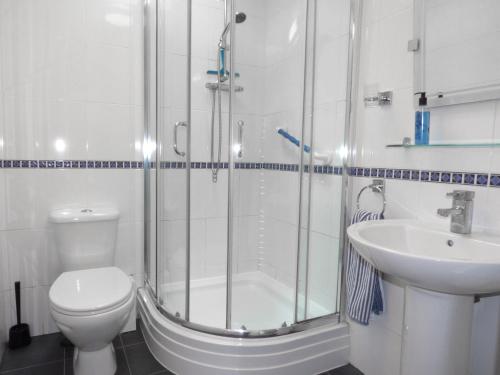 a bathroom with a shower and a toilet and a sink at Hafod Cottage in Cemaes Bay