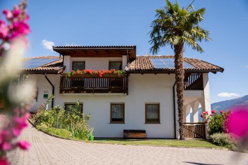 a house with a palm tree in front of it at Unterbrunnerhof in Lana