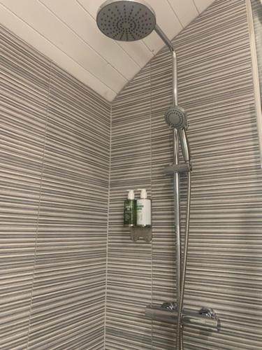 a shower with a shower head in a bathroom at Castledarcy Glamping in Lahinch