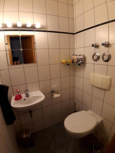 a bathroom with a toilet and a sink at Twistesee Ferienwohnung in Bad Arolsen