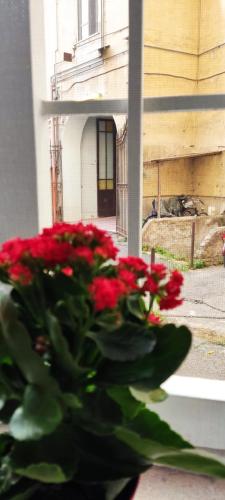 EMA MINI in Trastevere