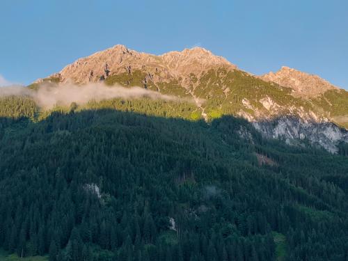 a mountain covered in trees with a mountain at 4 Mountains Apartments in Kleinarl