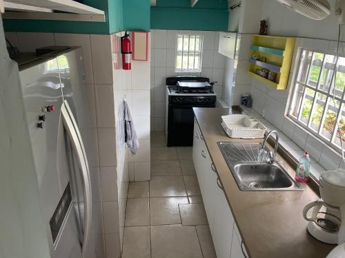 een kleine keuken met een wastafel en een koelkast bij La Bamba in Willemstad