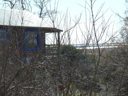 Φυσικό τοπίο κοντά σε αυτό το καταφύγιο