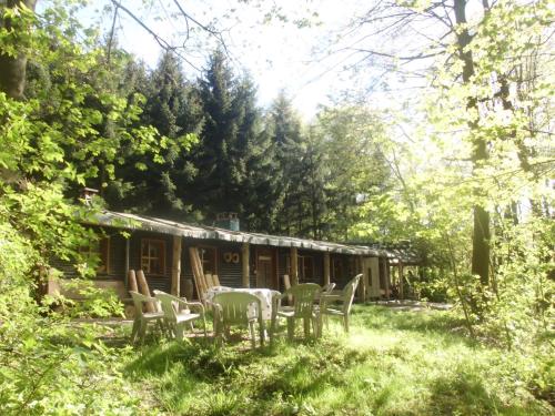 a table and chairs in front of a cabin at Das wilde Auwaldhaus in Bertsdorf