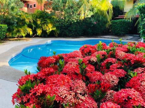 a garden with red flowers and a swimming pool at Valle Dorado 9 in Coco