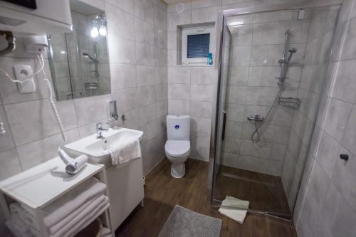a bathroom with a shower and a toilet and a sink at Leśny Zakątek in Bezmichowa Dolna