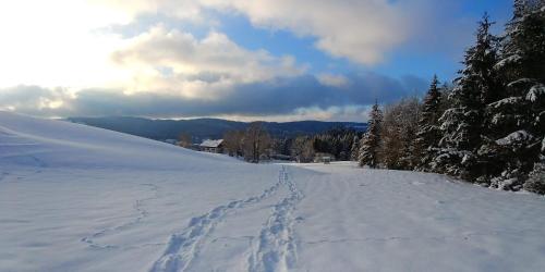 a snow covered road with footprints in the snow at Maison Le ROZET in Les Gras