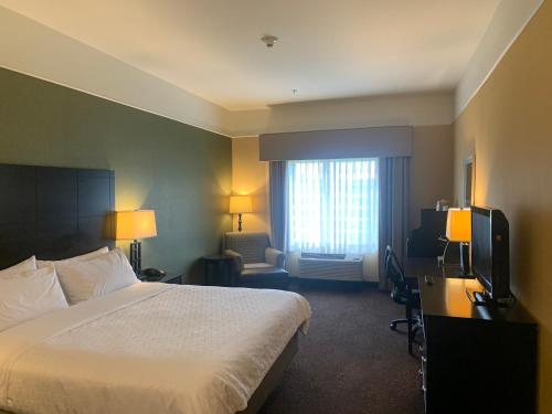 a hotel room with a bed and a television at Holiday Inn Express Hotel & Suites Lansing-Dimondale by IHG in Dimondale