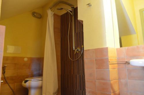 a bathroom with a shower with a toilet and a sink at Tenuta Agricola dell'Uccellina in Talamone