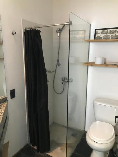 uma casa de banho com um chuveiro e um WC. em Suite Artigas em Colônia do Sacramento