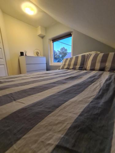 a bedroom with a large bed with a window at Glass roof private loft in Tromsø in Tromsø