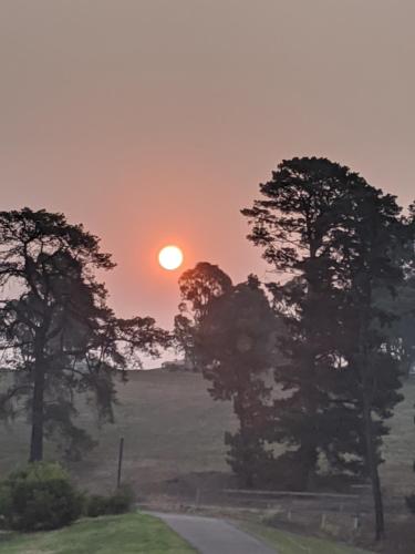 a sunset over a field with trees and a road at Apartments in Phillip Island Towers - Block C in Cowes