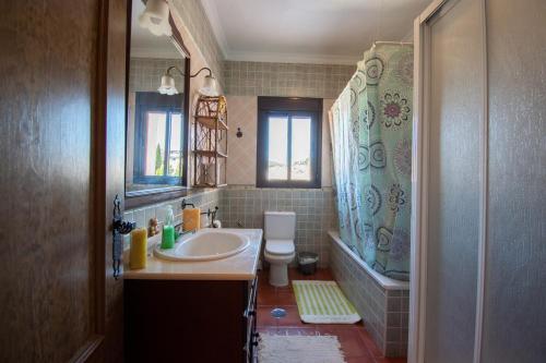 a bathroom with a sink and a toilet and a mirror at VILLA ELISABETH Piscina y Terraza con Aire Acondicionado in Arriate