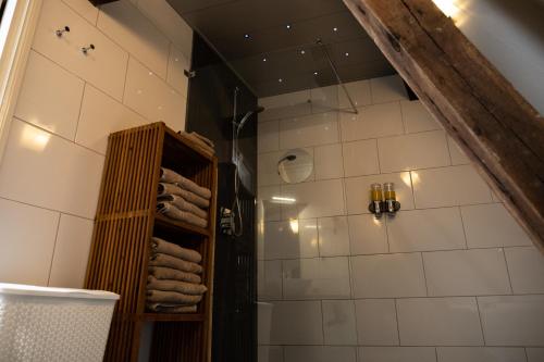 een badkamer met een douche en een handdoekenrek bij De Soeten Inval in Middelburg