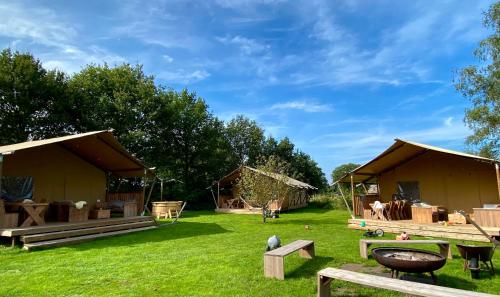 um grupo de cabanas num campo com relva em Camping de Vinkenkamp em Lieren