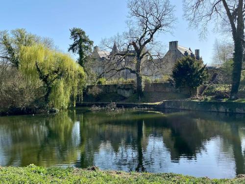 a view of a river with a castle in the background at Dinan « La vie de château » manoir XIe parc étang in Taden