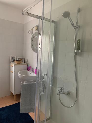 W łazience znajduje się prysznic i umywalka. w obiekcie Ca' degli Ovi w mieście Valenza