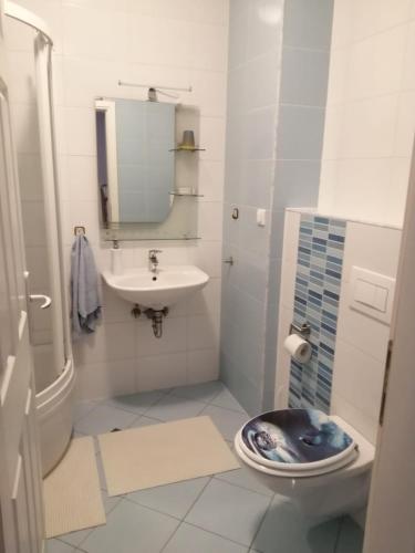 a bathroom with a sink and a toilet and a mirror at Dora in Krapinske Toplice