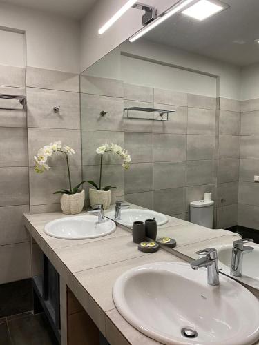 Connect Studios & Apartments