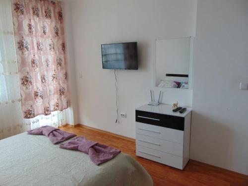 1 dormitorio con 1 cama, vestidor y TV en IGLIKA 2 SNOWY NIGHT V18 en Borovets