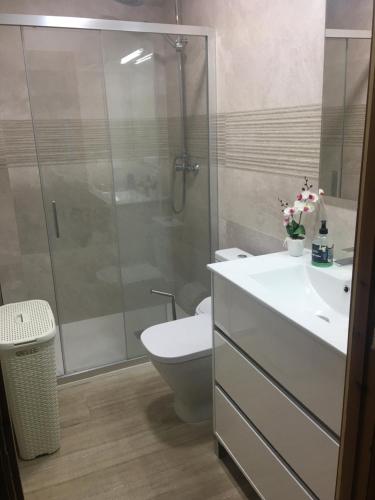 a bathroom with a shower and a toilet and a sink at Cala Petita in Porto Cristo