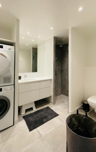 a bathroom with a sink and a washing machine at ApartmentInCopenhagen Apartment 1463 in Copenhagen