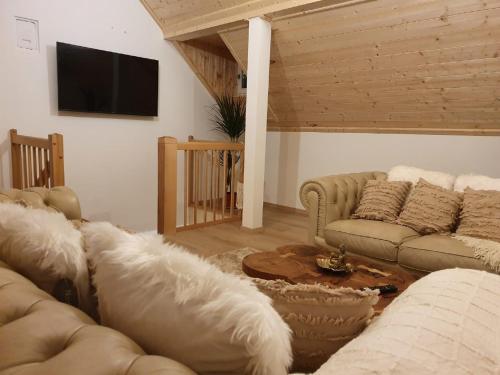 a living room with couches and a tv on a wall at Fichtelfeeling in Fichtelberg