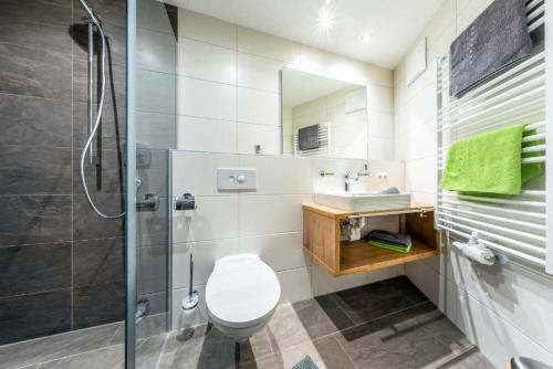 a bathroom with a shower and a toilet and a sink at Haus Sabrina Hexenkopf in See