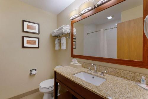 a bathroom with a sink and a toilet and a mirror at Comfort Inn River's Edge in Huron