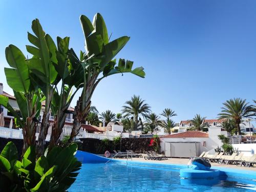 Las Americas Still Atlantic Apartment with Terrace & Views
