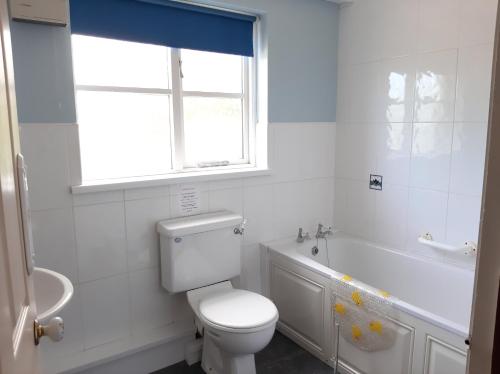 a white bathroom with a toilet and a tub and a window at Trenewydd Farm Holiday Cottages in Cardigan