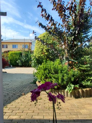 Apartman Starý Liskovec