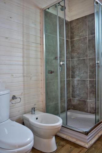 a bathroom with a shower and a toilet and a sink at Villa Nora - Santa Isabel de La Pedrera in La Pedrera