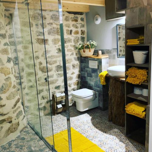 a bathroom with a shower with a toilet and a sink at Joubarbe Les Herbes de la Saint Jean in Saint-Bonnet-le-Froid