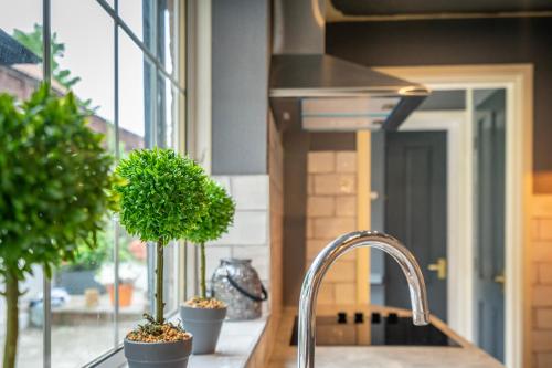 a kitchen sink with potted plants on a window ledge at River View, Stamford Bridge in Stamford Bridge