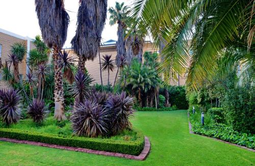 a garden with palm trees and grass and a building at City Lodge Hotel Bloemfontein in Bloemfontein