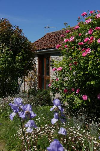 Taman di luar The Potting Shed, self contained, detached retreat in Shapwick village